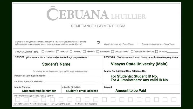 Cebuana and Palawan Pawnshop Casino Cash Deposit